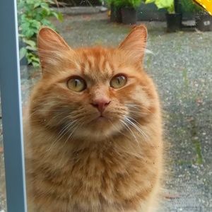 Meet your Posher, Linda